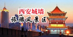 操老骚逼女人操逼视频中国陕西-西安城墙旅游风景区