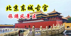 一个人看的视频www在线美女骚中国北京-东城古宫旅游风景区